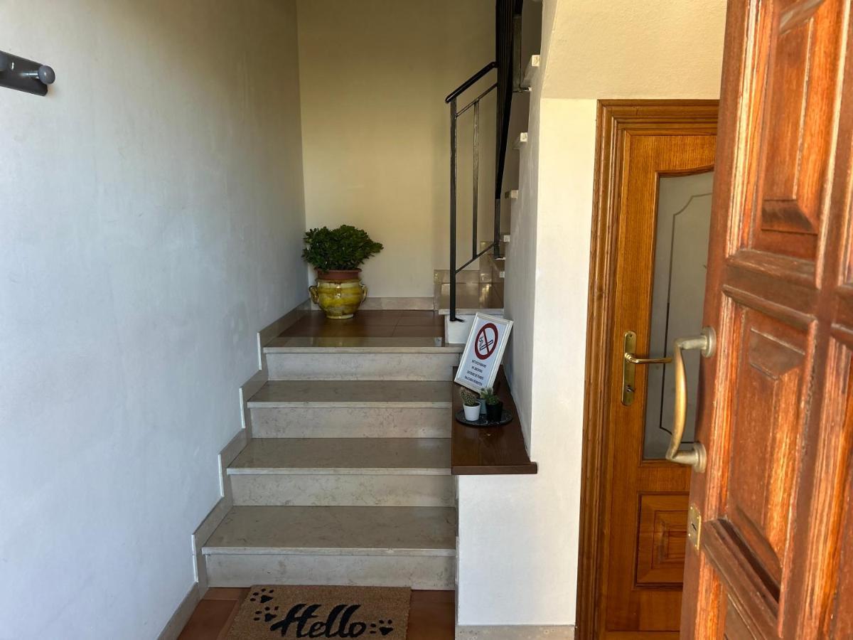 Albi'S House,Terrazza ,Wi-Fi, Parcheggio, Ac Apartment Lucca Bagian luar foto