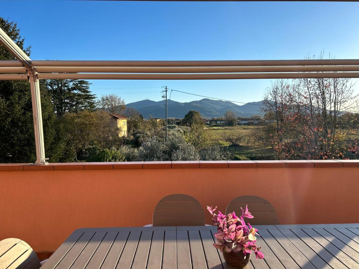 Albi'S House,Terrazza ,Wi-Fi, Parcheggio, Ac Apartment Lucca Bagian luar foto