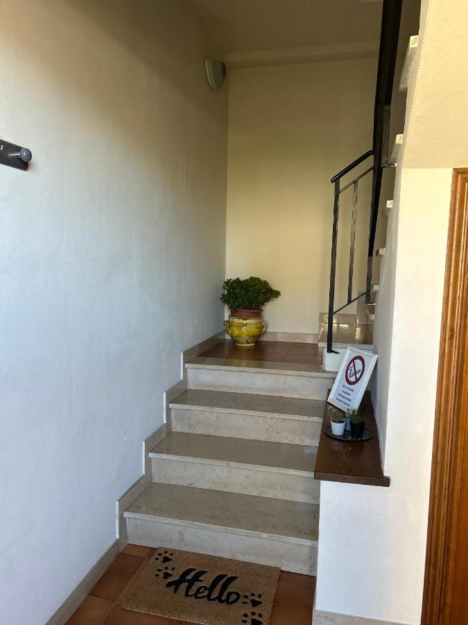 Albi'S House,Terrazza ,Wi-Fi, Parcheggio, Ac Apartment Lucca Bagian luar foto